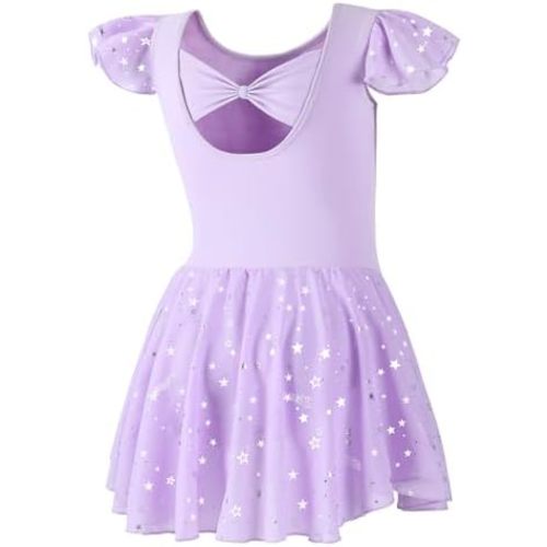 DIPUG Girls Ballet Leotards Toddler Shiny Dance Leotard Dresses with Ruffle Sleeve