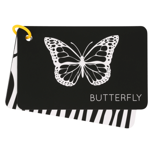 High-Contrast Vision Development Cards