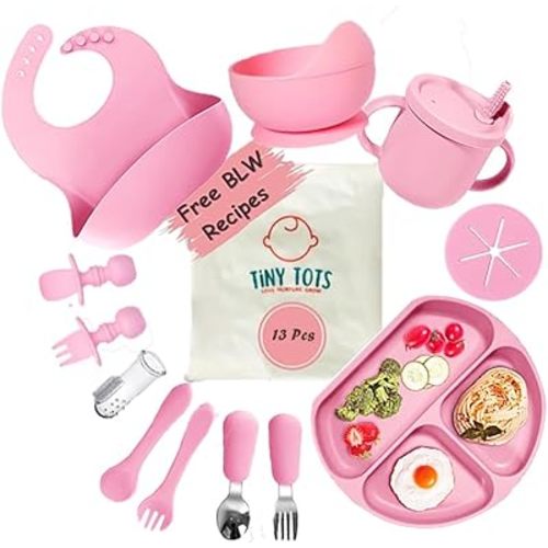 Silicone Baby Feeding Set 13 pcs with BLW Recipes. Baby Plates and Bowls Set, Baby & Toddler Spoons Set, Sippy Cup & Lid, Silicone Bib, Baby Toothbrush (6+ Months)