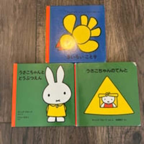 Miffy picture book