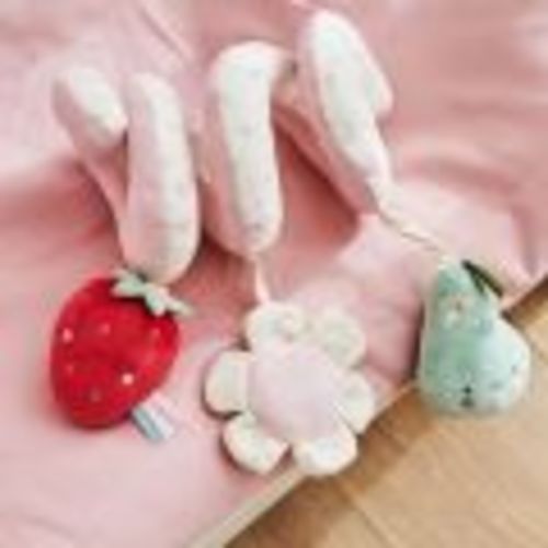 Personalized Fruit Floral Spiral Activity Toy