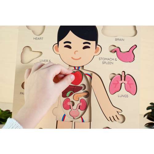 Montessori toys, human body puzzle, toddler toys wooden human puzzle kids anatomy puzzle human anatomy preschool anatomy gifts for kids toys