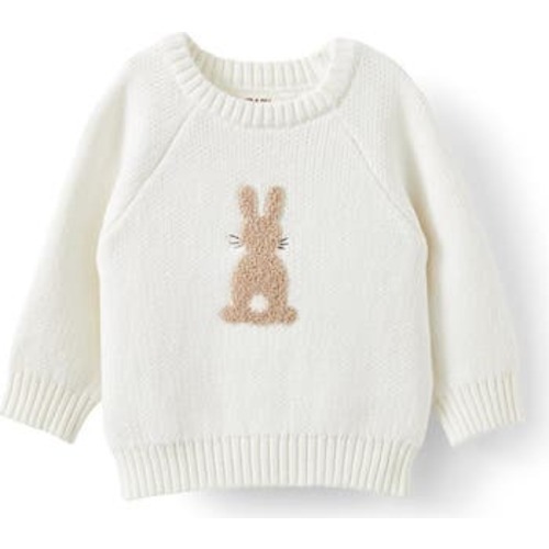 Organic Raglan Knit Sweater, Newborn