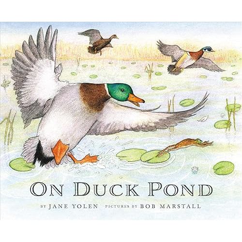 On Duck Pond (On Bird Hill and Beyond, 2) Hardcover – Picture Book, April 11, 2017