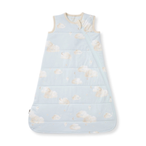 Good Night Sky Organic Warmer Beekeeper™ Wearable Baby Blanket Ice Flow