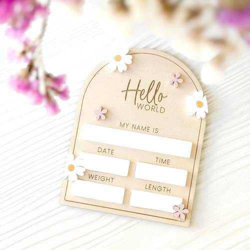 Baby Girl Birth Announcement, Birth Announcement Sign, Hello World, Baby Gift