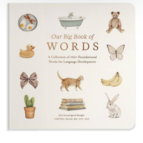 Our Big Book of First Words: A Collection of 100+ Foundational Words for Language Development (Tabitha Paige Children's Book Series)