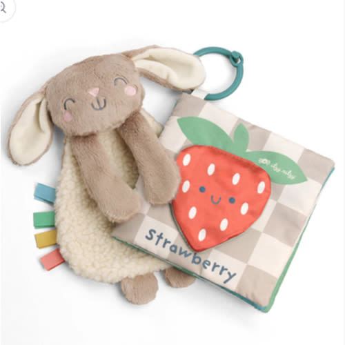 Itzy Learn & Snuggle Gift Set™ – Itzy Ritzy