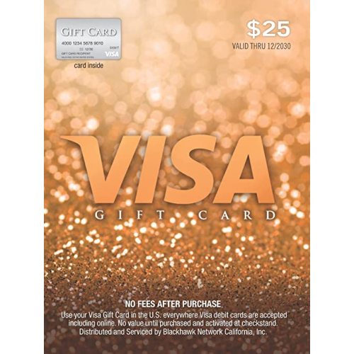 Visa $25 Gift Card (plus $3.95 Purchase Fee)