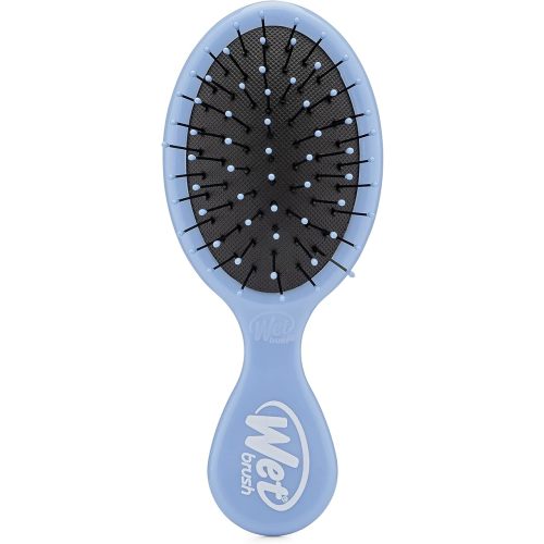 Wet Brush Detangling Brush, Mini Detangler Brush (Sky) - Wet & Dry Tangle-Free Hair Brush for Women & Men - No Tangle Soft & Flexible Bristles for Straight, Curly, & Thick Hair