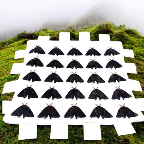 Mothman! - taggy baby blanket - one of a kind baby gift cryptid the man the moth the legend!
