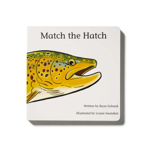 Match The Hatch Children's Book