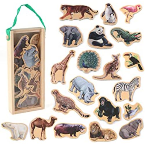 Wooden Animal Magnets
