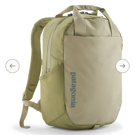 Patagonia Atom 20L Tote Pack | REI Co-op