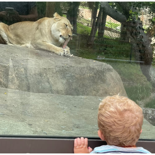 Zoo Membership