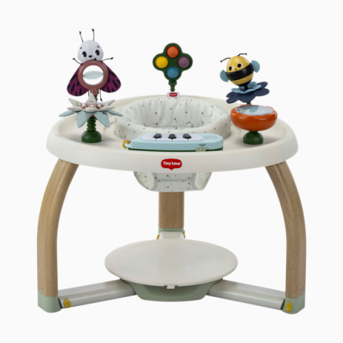 5-in-1 Stationary Activity Center - Tiny Bugs