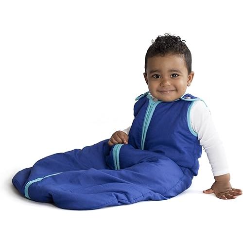 Baby Deedee Sleep Nest Sleeping Sack, Warm Baby Sleeping Bag fits Newborns and Infants,Medium (6-18 Months)