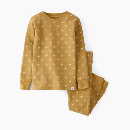 Carter's Little Planet Organic Cotton 2-Piece PJs - Prarie Grass Sunshine, 6M