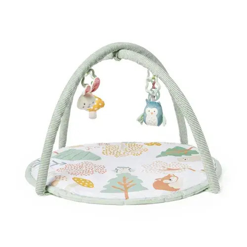 Oscar & Florri Woodland Playgym | Baby Bunting AU