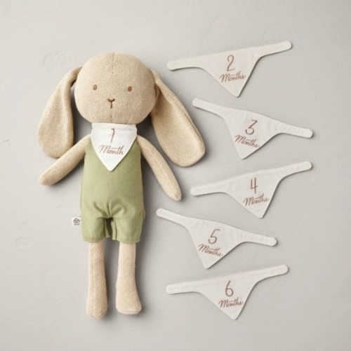 Hearth & Hand Magnolia Newborn Milestone Knit Bunny 7pc