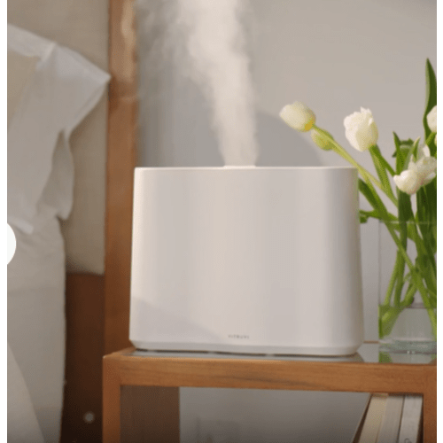 Cloud Humidifier