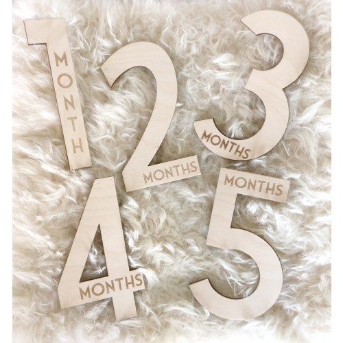 Baby Milestone Cards - Wooden Monthly Baby Photo Prop - Baby Shower Gift - Milestone Blocks - Wood Milestone Plaque- Milestone Numbers
