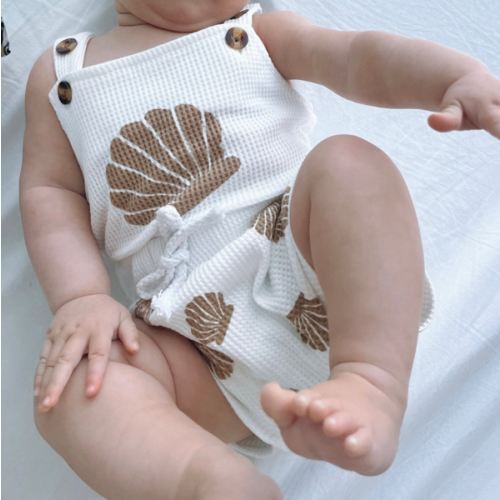 Seashell Set