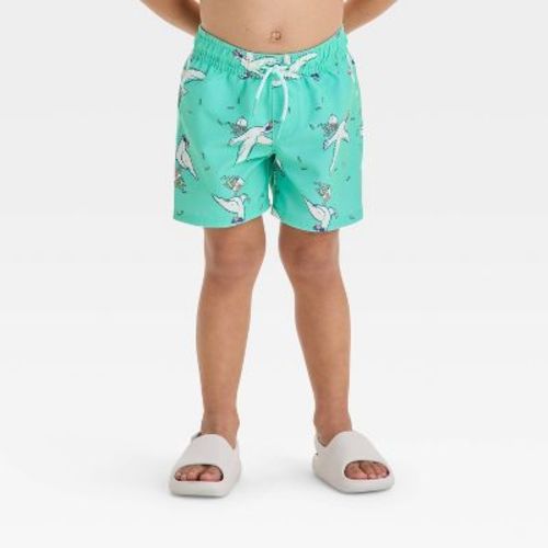 Toddler Boys' Sea Gull Printed Swim Shorts - Cat & Jack™ Aqua Green 3t