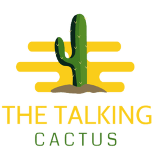 Finn The Talking Cactus - Funny Talk-Back Dancing Cactus