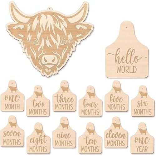 Huray Rayho Highland Cow Baby Monthly Photography Props Cards Rustic Wooden Cattle Tags Newborn Scottish to Record Your Baby´s Growth, Set of 14 Reversible Cards from One Month to One Year
