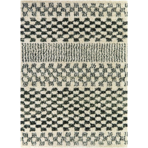 Mendieta Green Checkered Shag Area Rug
