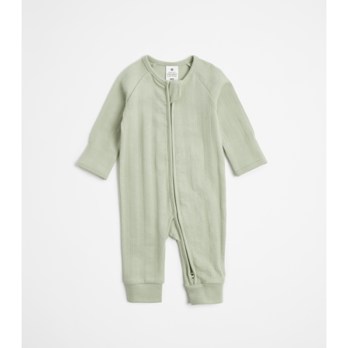 Baby Organic Cotton Pointelle Zip Coverall - Light Green