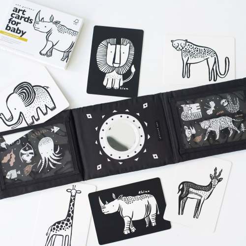 Baby Tummy Time Gallery with Mirror and Card Set Bundle