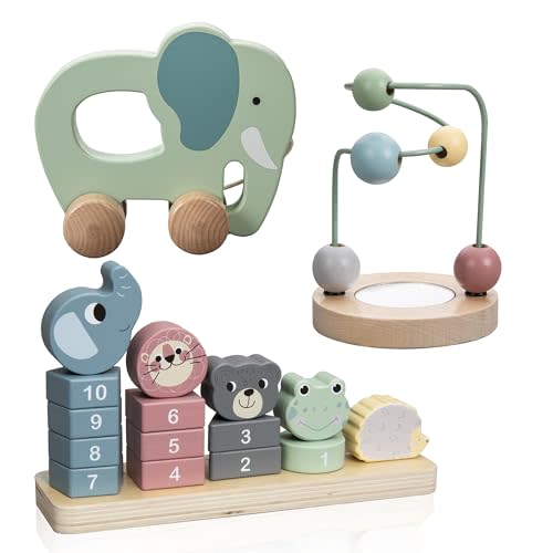 ELLIANI Wooden Montessori Toys Set for 1 2 3 Year Old Boys and Girls - Sensory Toys for Toddlers 1-3, Pre School Wooden Toys for Toddler Learning Activities