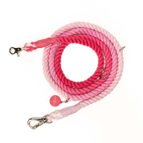 The Cupid's Crush Pink Ombre Hands-Free Rope Dog Leash – Lucy & Co.