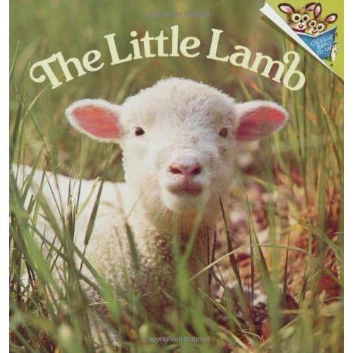 The Little Lamb (Pictureback(R)) Paperback – January 1, 1977