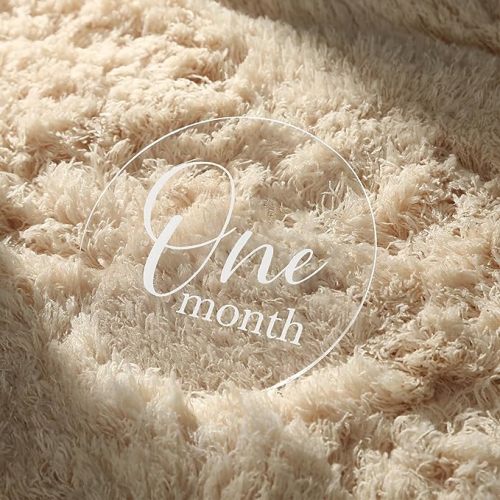 Acrylic Monthly Baby Milestone Printed Cards, Photo Props, Baby Growth Photography, Round 13 Discs (One Month to One Year & Hello World Card, 4 inches, Clear)