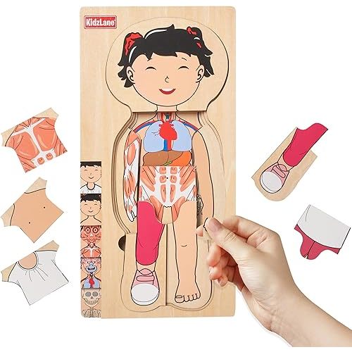 Kidzlane Wooden My Body Puzzle for Toddler - 5-Layer Girl Anatomy Puzzle - Real Wood - Multicolor - Educational Human Body Toy for Kids - BPA Free - Educational Toys