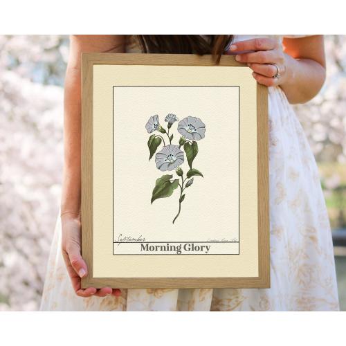 September Birth Flower Art, 4x6 print in hanging picture frame
