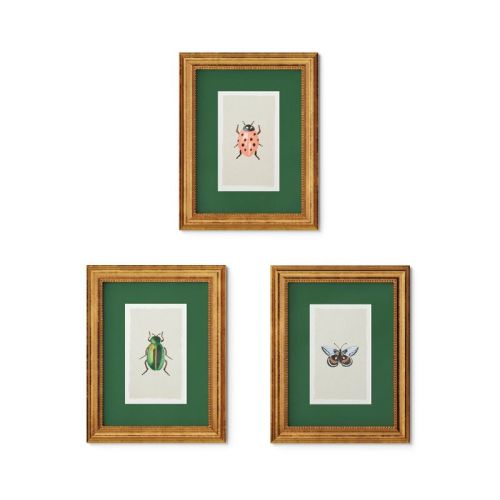 Rifle Paper Co. x Target 11"x14" Gold Foil Insect Poster Framed Wall Art Prints Set of 3: Nature Lithograph Bug Prints