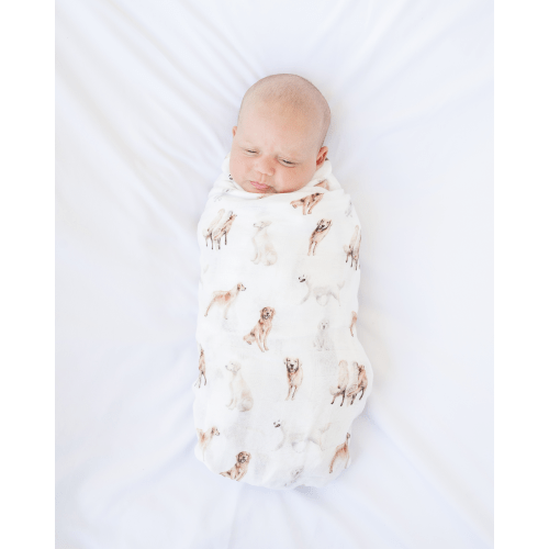 Golden Retrievers - Swaddle