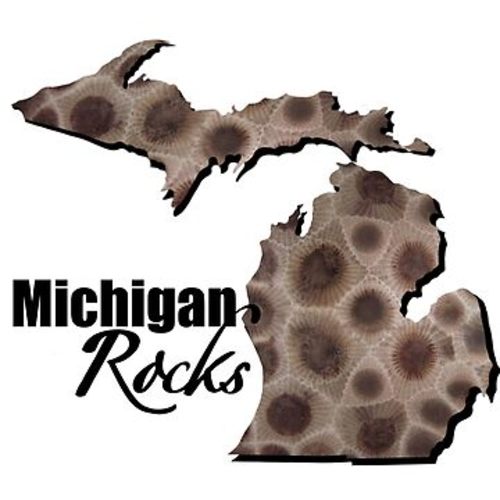 Petoskey stone pattern, Michigan stone, Michigan Rocks | Kids T-Shirt