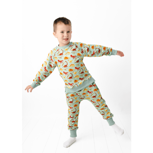 Dinosaurs Jogger Set