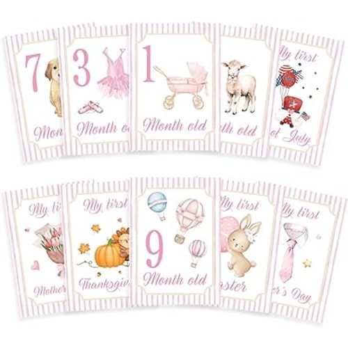 Baby Milestone Cards, 10pcs Double Sided Newborn Photo Prop, Baby Girl First Holiday, First Year Monthly Milestone Cards, Pink Pregnancy Announcement Ideas Decor Supplies(01)