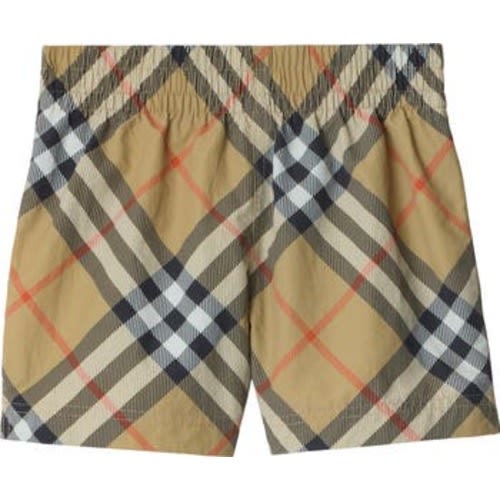 Check Swim Shorts, 2T