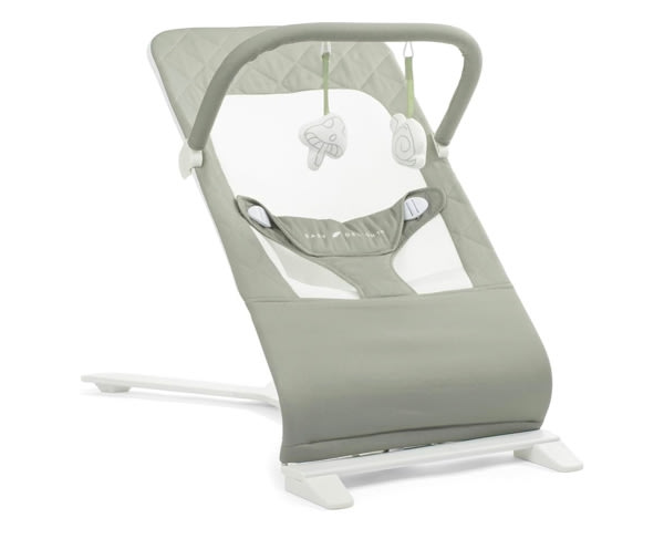 Amazon.com: Baby Delight Alpine Deluxe Portable Bouncer, Organic Sage | Infant 0-6 Months, 3-Position Recline, 3-Point Safety Harness, 100% GOTS Certified Cotton Fabric Removable & Washable Cover