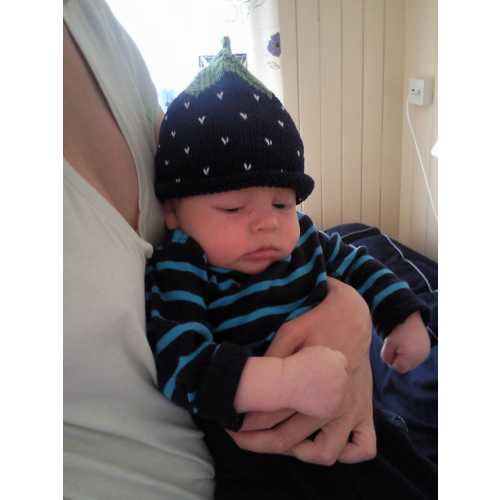 NEWBORN-BLUEBERRY HAT