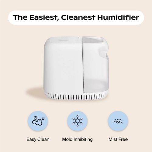 Canopy Mist Free Evaporative Humidifier with 4 Settings, Dishwasher Safe and Mold Inhibiting - 2.5ltr White