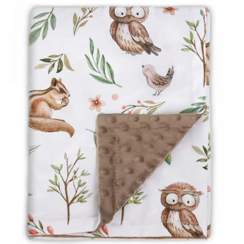 BORITAR Baby Blanket for Boys Girls Super Soft Double Layer Minky with Dotted Backing, Brown Owl Design Blanket for Toddler Newborn 30 x 40 Inch(75x100cm)