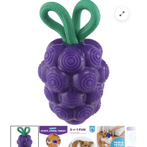 Outward Hound Grape Dental Chew Toy – DogTuff